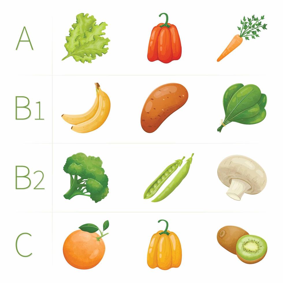 ilustración vectorial tenplate con un conjunto de frutas y verduras naturales y orgánicas saludables. el contenido de vitaminas a, b1, b2, c en los alimentos. vector