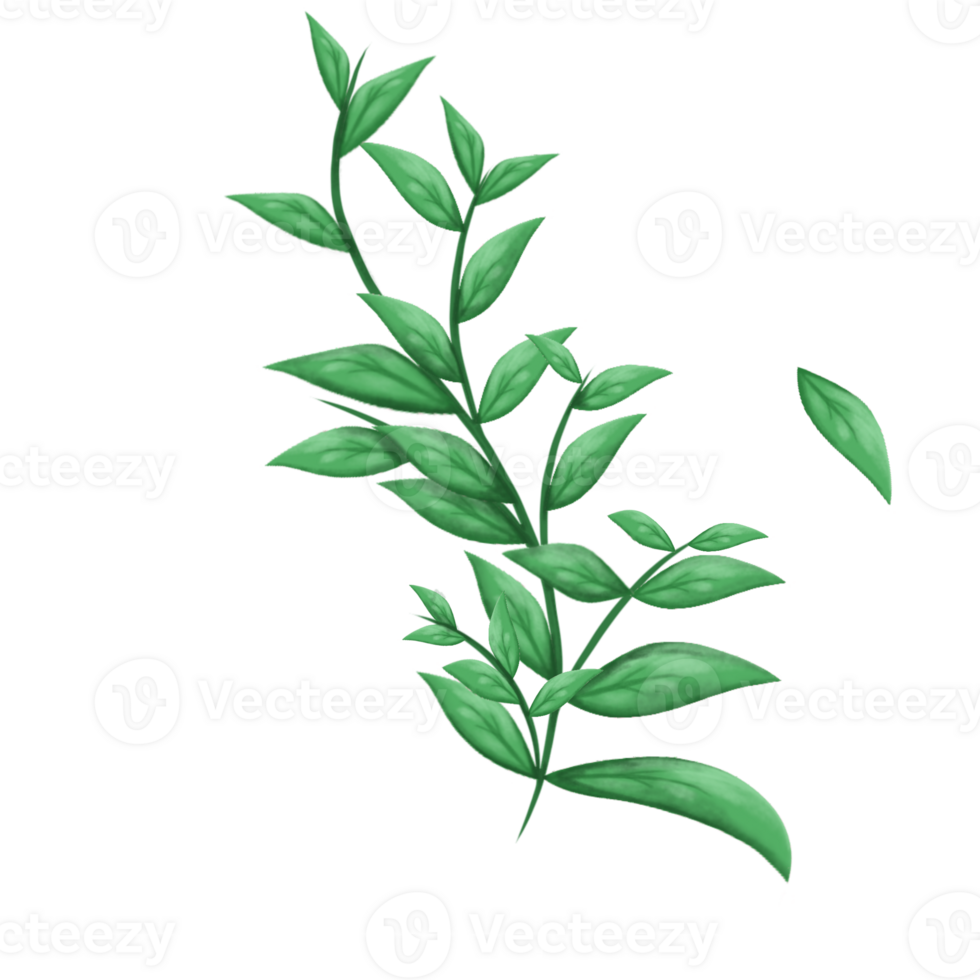 hoja png