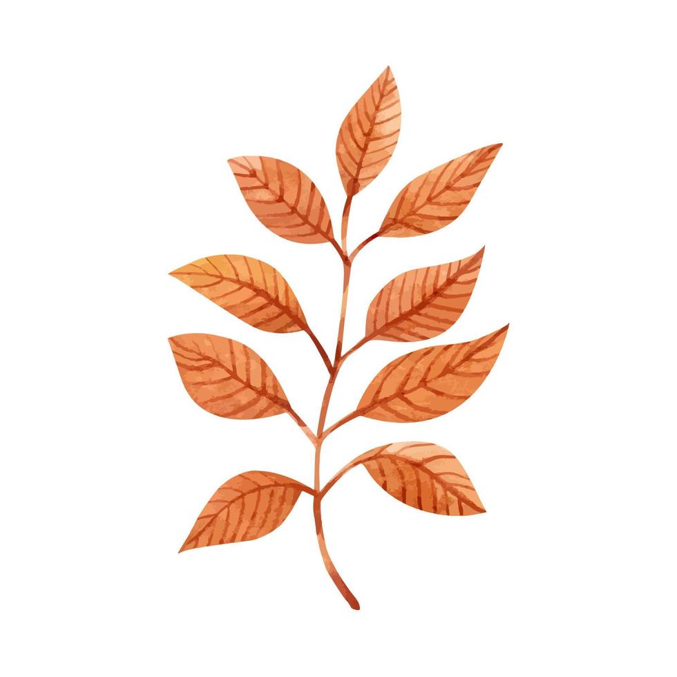Golden autumn leaves on a branch. Watercolor hand-drawn illustration isolated on white background. Perfect for your project, postcards, prints, covers, patterns, invitations. vector