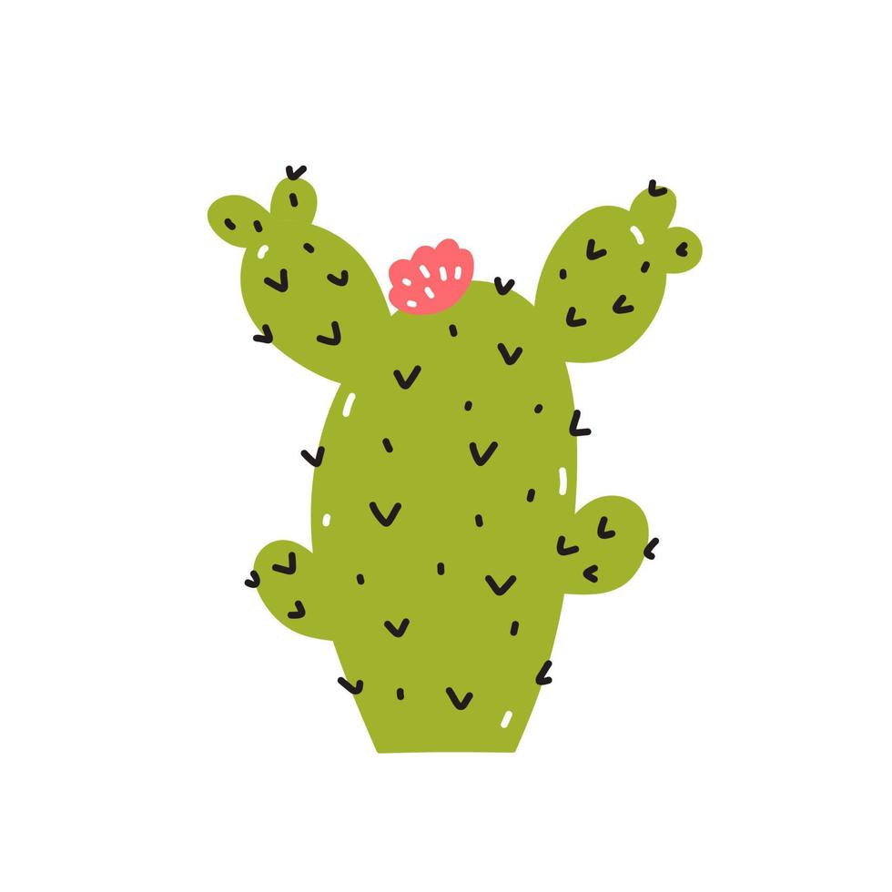 Cute cactus with a flower isolated on white background. Vector illustration in hand-drawn flat style. Perfect for cards, logo, decorations, various designs. Botanical clipart.