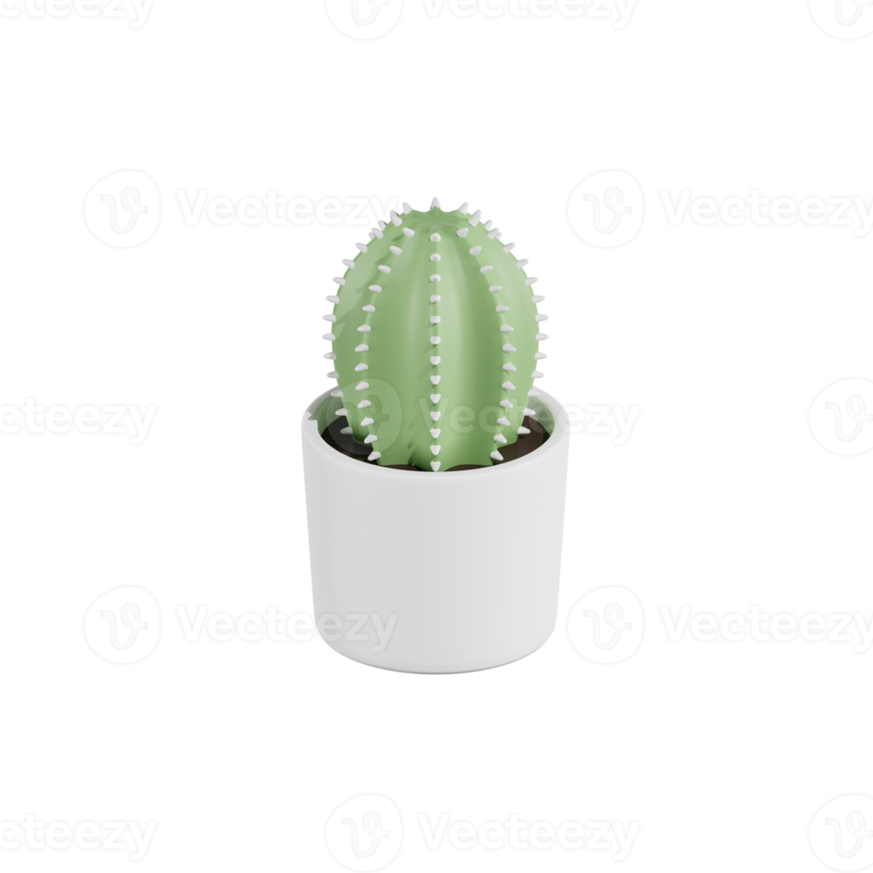 cactus pianta 3d illustrazioni png