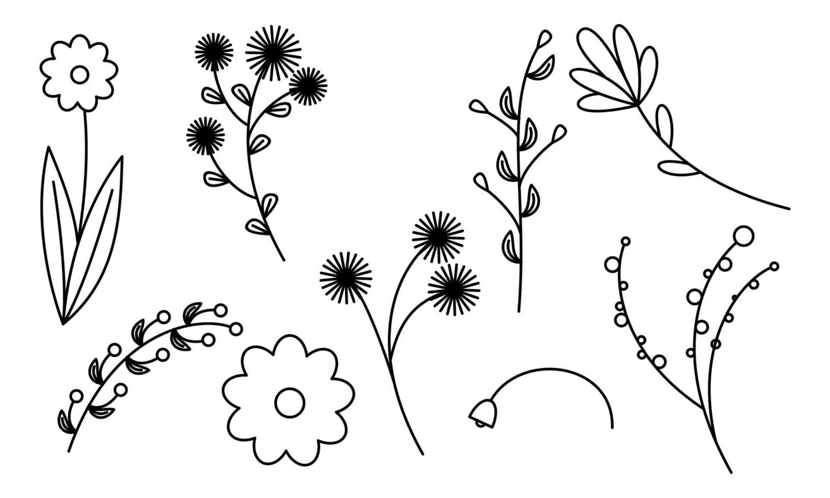 vector de doodle de flores y ramas dibujadas a mano