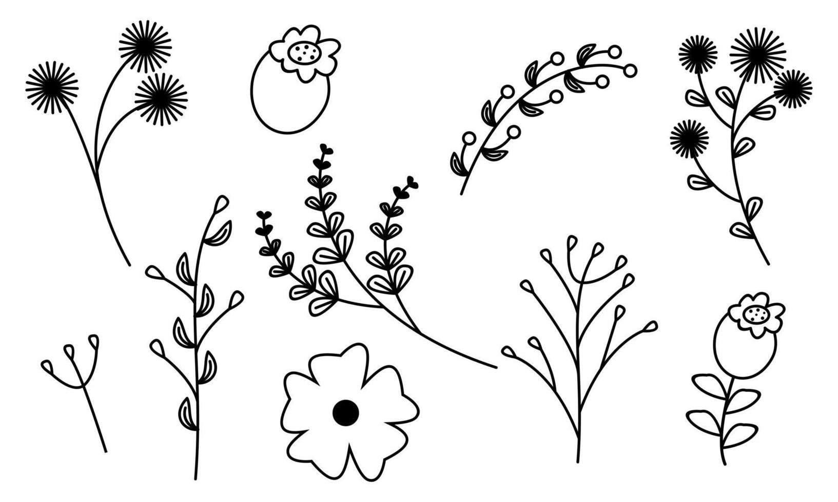 vector de doodle de flores y ramas dibujadas a mano