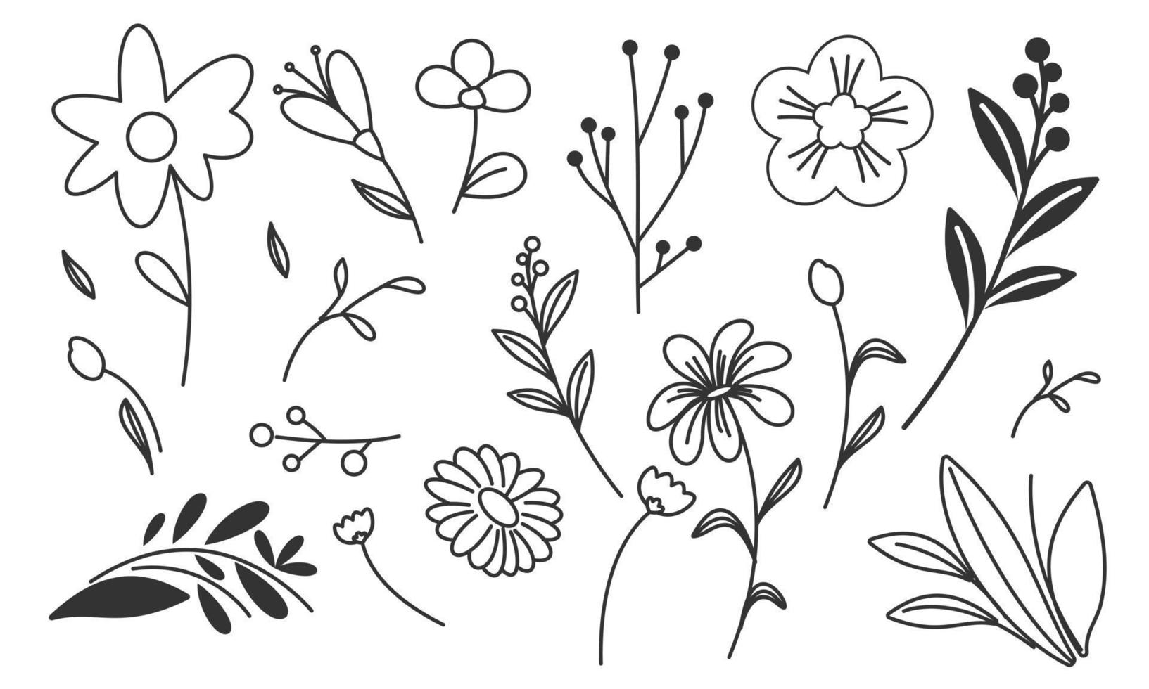 vector de doodle de flores y ramas dibujadas a mano