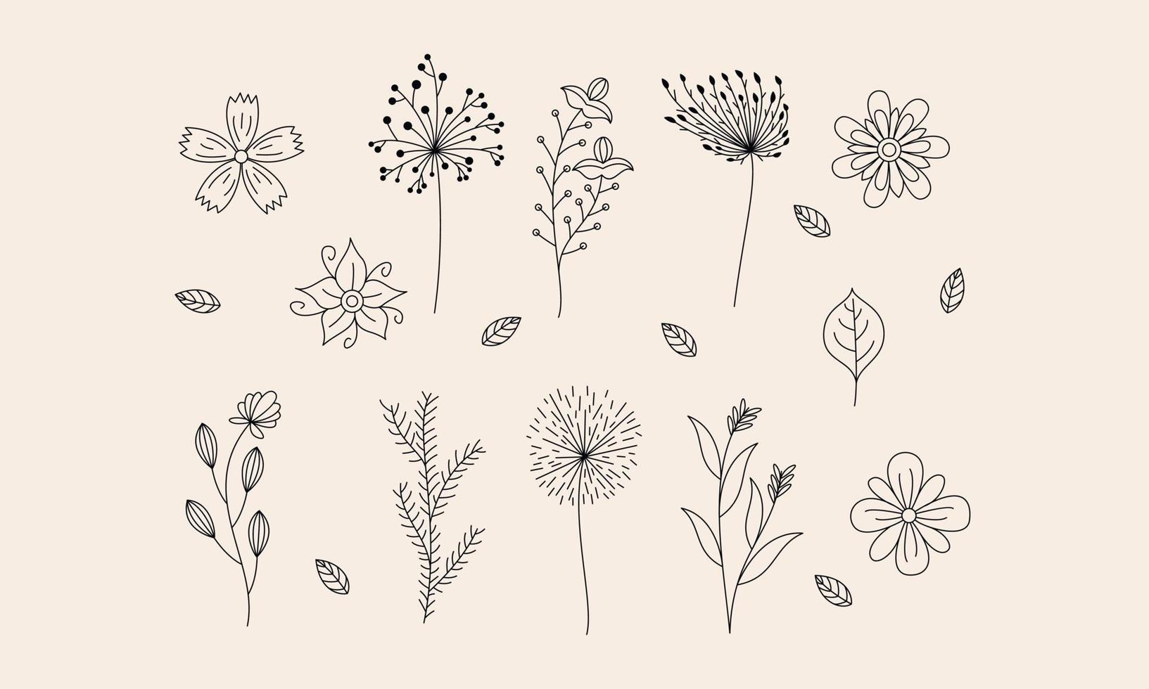 vector de doodle de flores y ramas dibujadas a mano