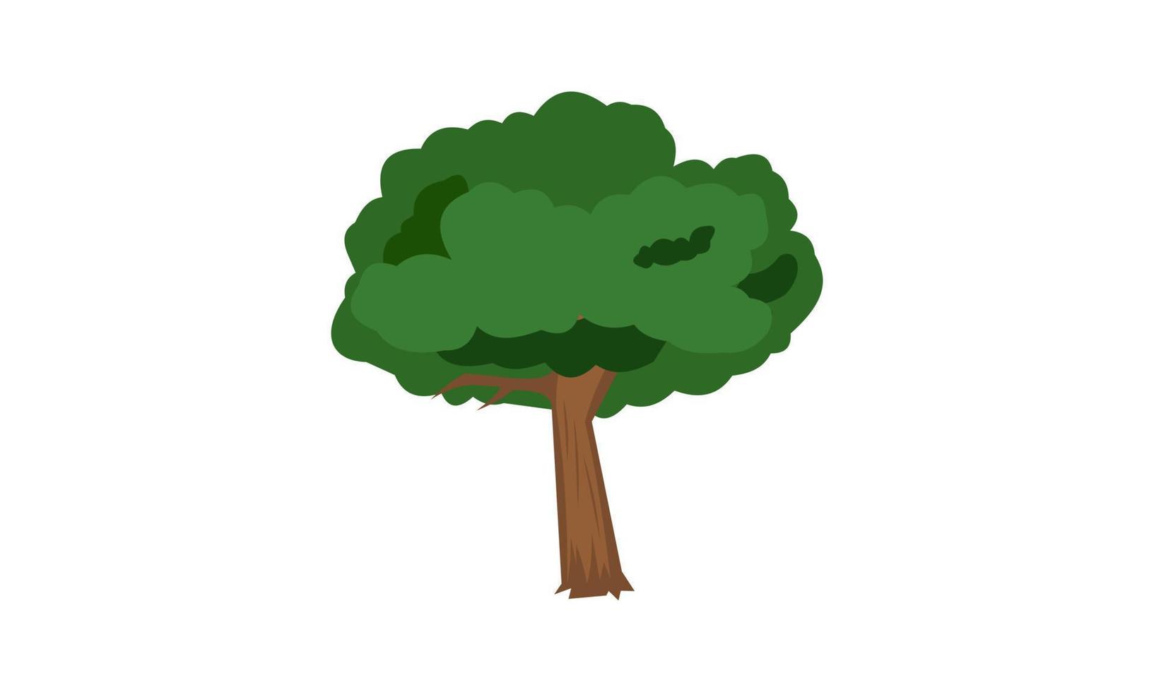 árbol verde caducifolio con raíces expuestas ilustración vectorial aislada vector