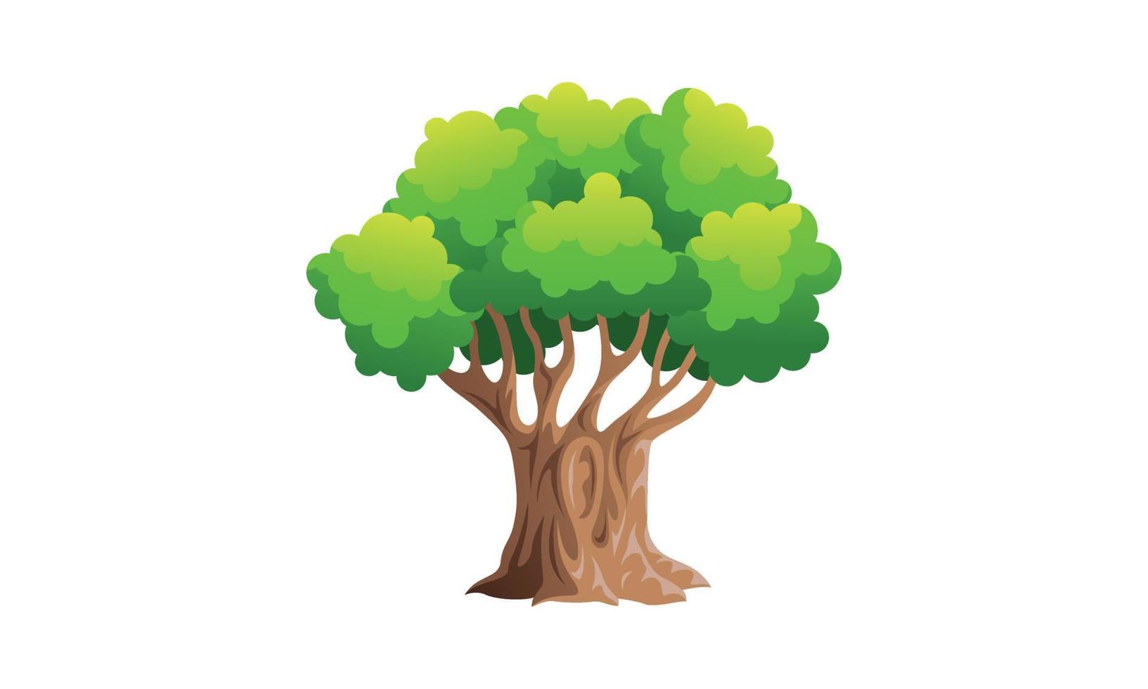 árbol verde caducifolio con raíces expuestas ilustración vectorial aislada vector