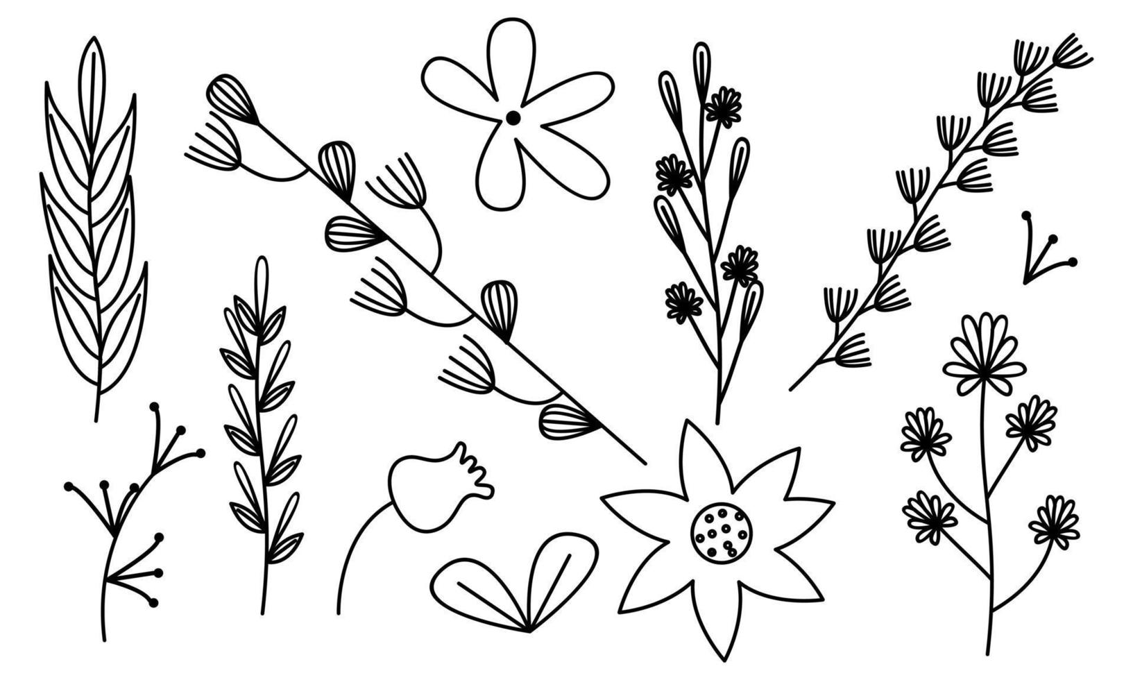 vector de doodle de flores y ramas dibujadas a mano