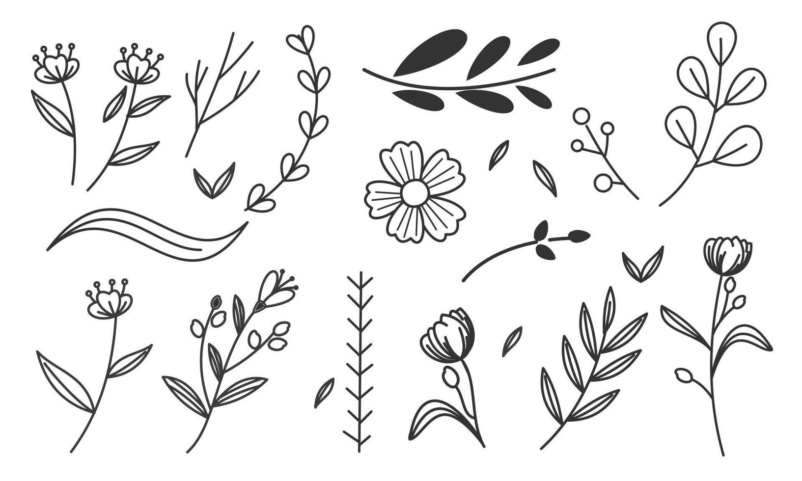 vector de doodle de flores y ramas dibujadas a mano