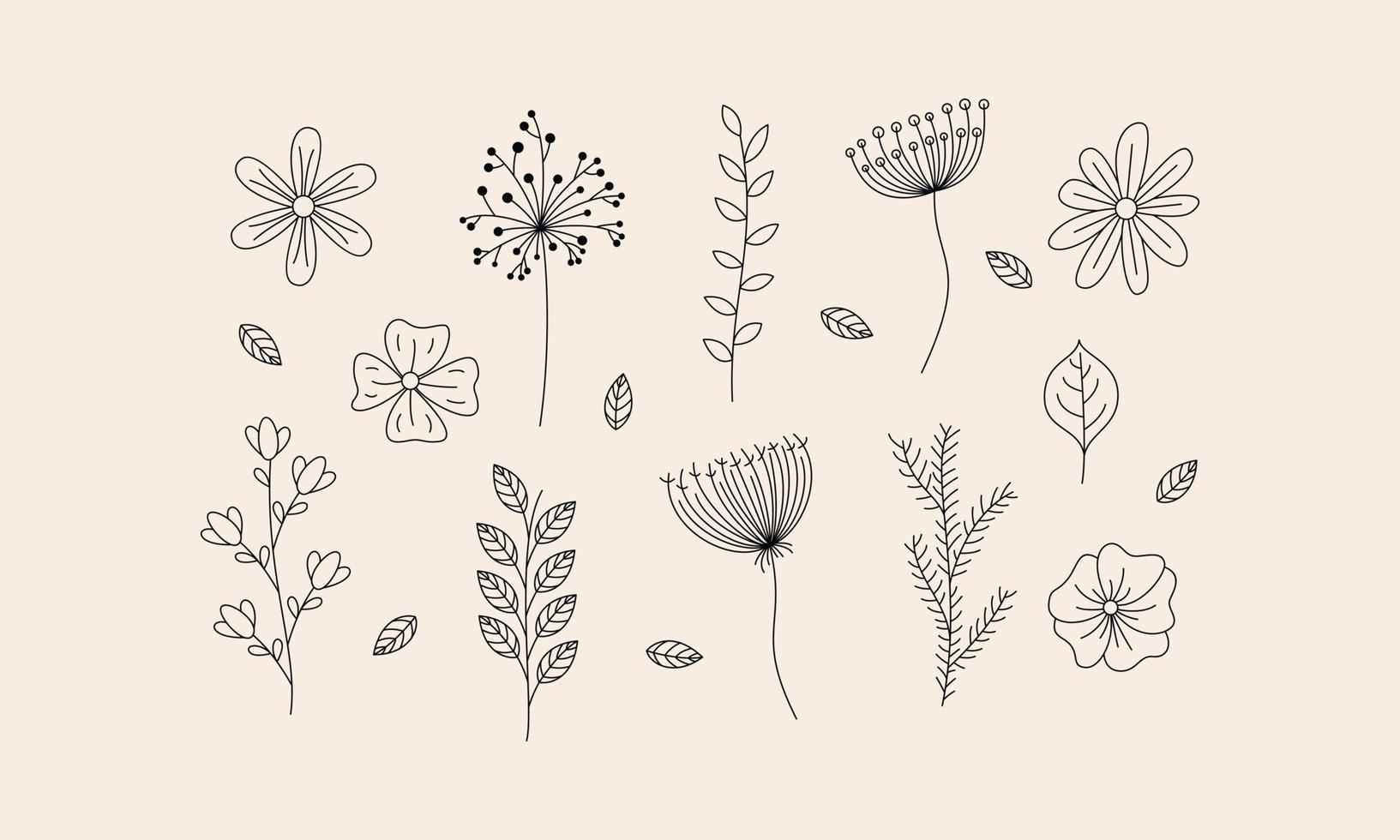 vector de doodle de flores y ramas dibujadas a mano