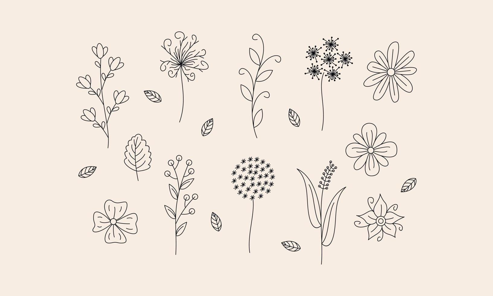 vector de doodle de flores y ramas dibujadas a mano