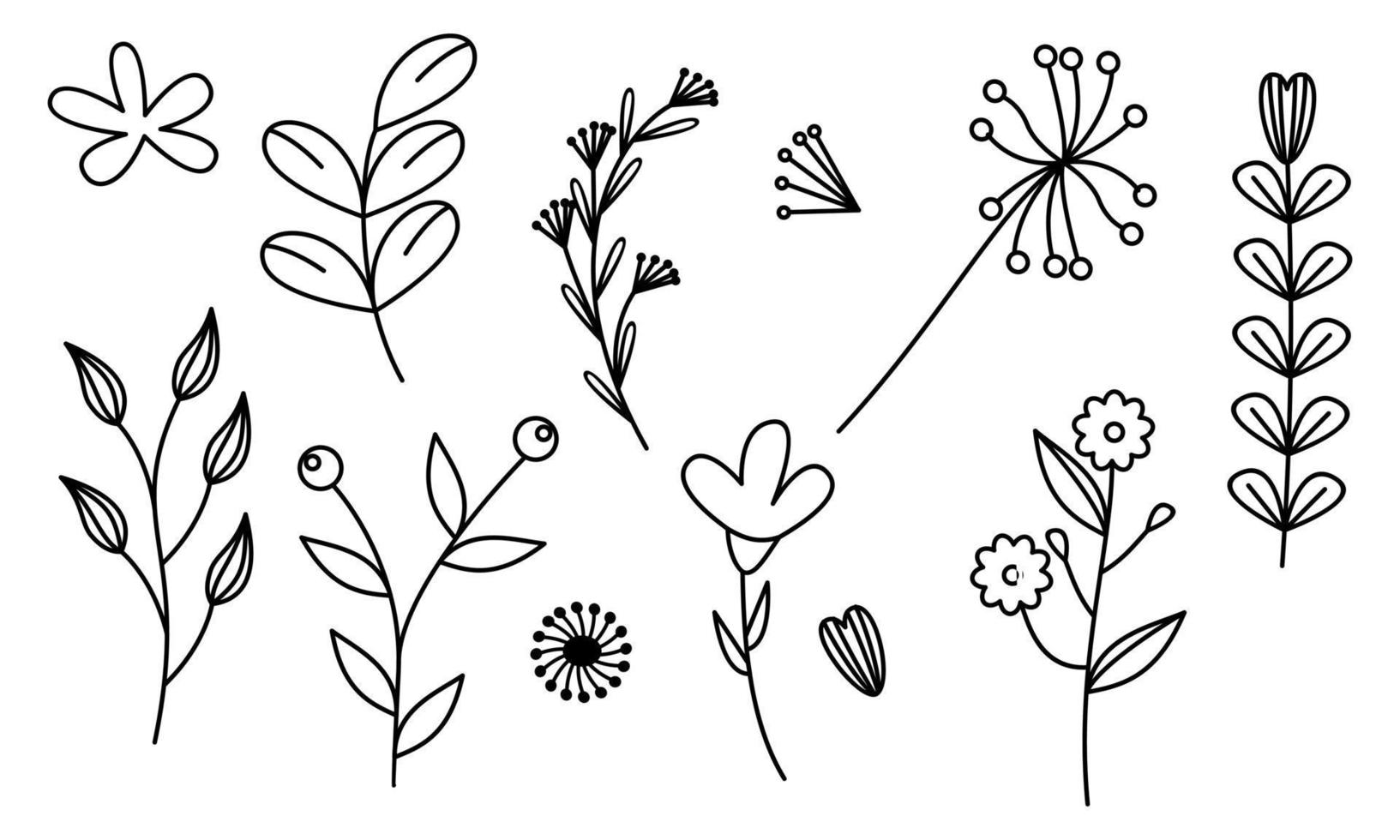 vector de doodle de flores y ramas dibujadas a mano