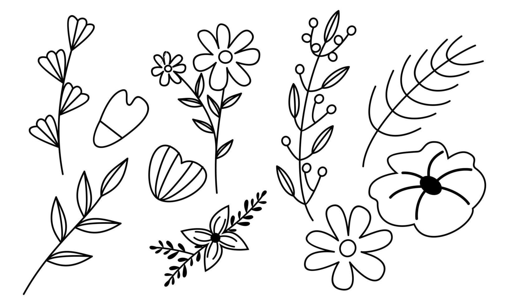 vector de doodle de flores y ramas dibujadas a mano