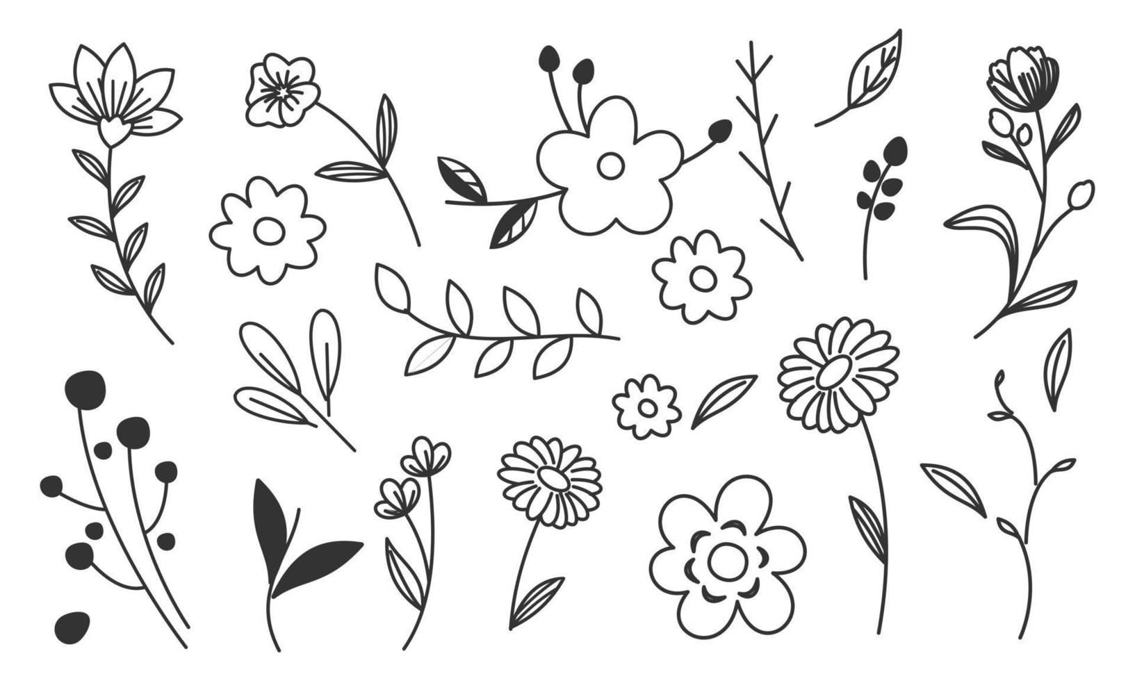 vector de doodle de flores y ramas dibujadas a mano