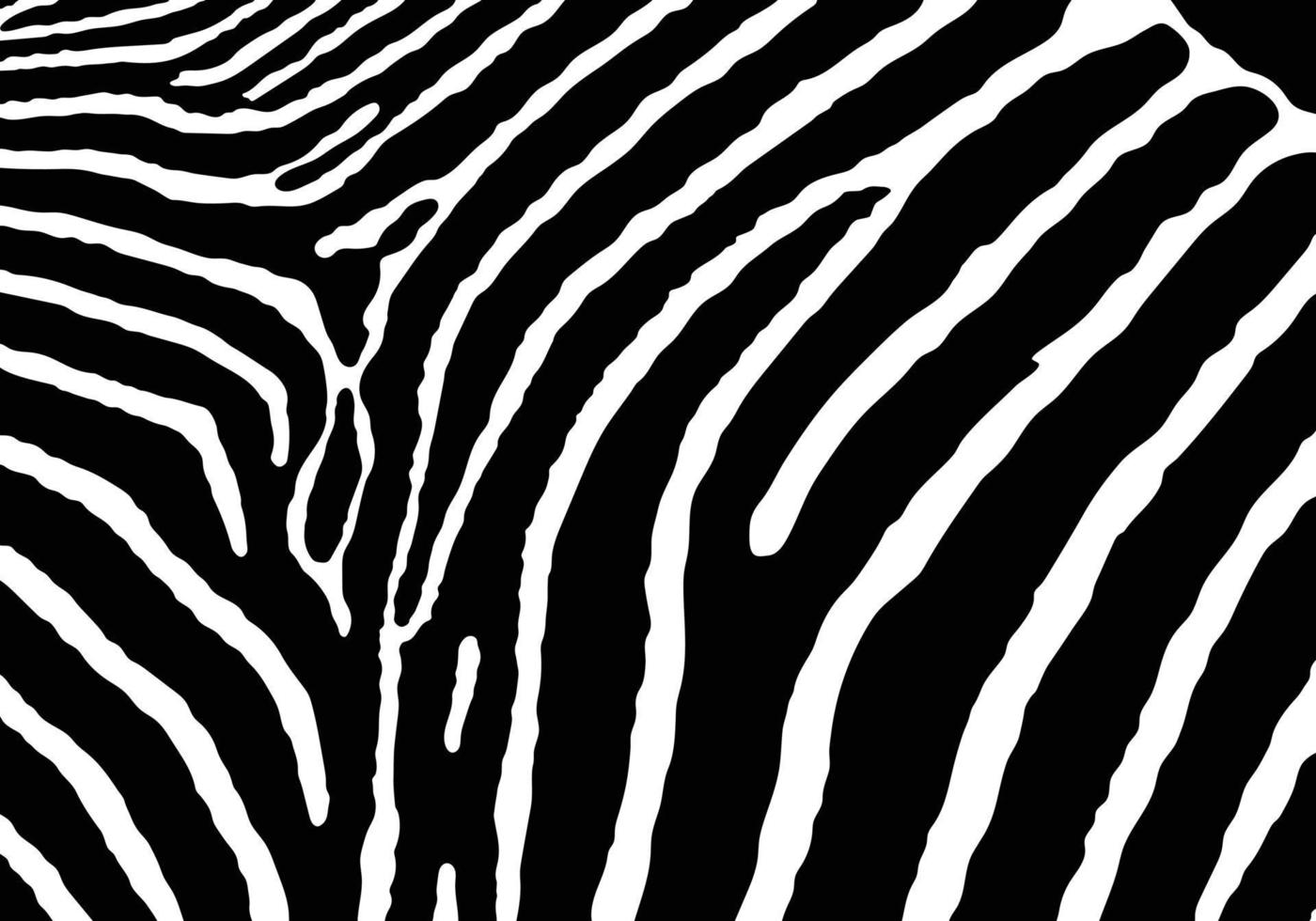 Vector and illustration black zebra print pattern animal Seamless