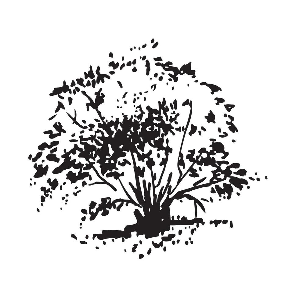 Hand-drawn bush. Black and white realistic image, sketch painted with ink brush vector