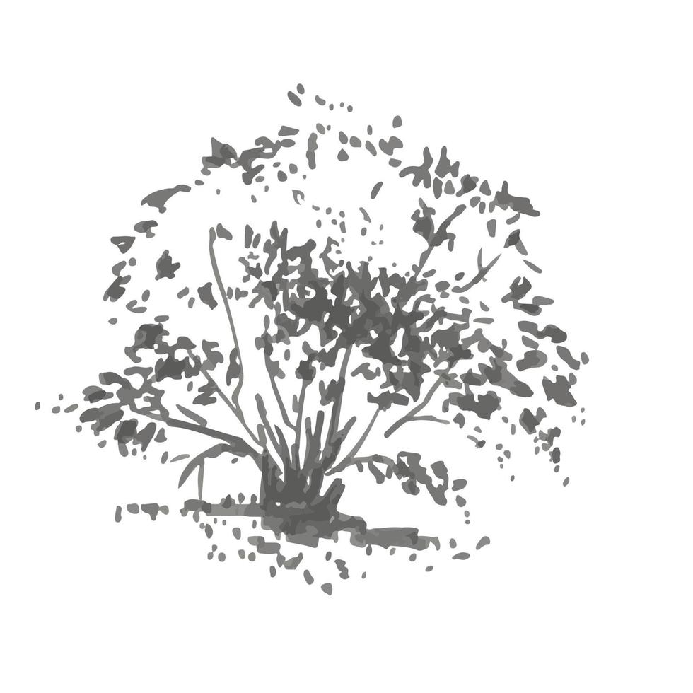 arbusto dibujado a mano. imagen realista en tonos de gris, boceto pintado con pincel de tinta vector