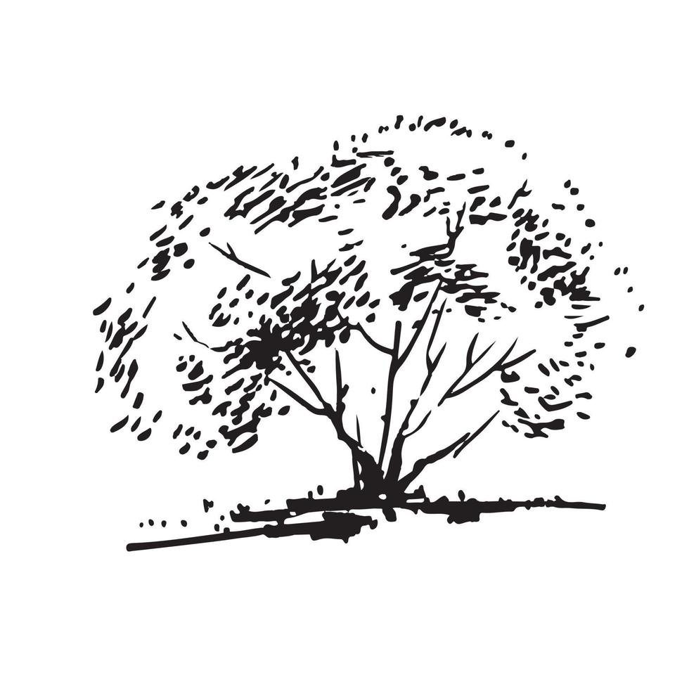Hand-drawn bush. Black and white realistic image, sketch painted with ink brush vector