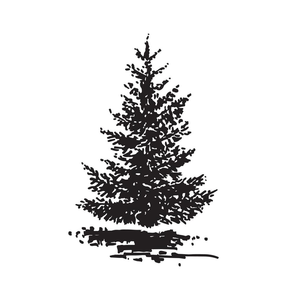 Hand-drawn tree, fir. Black and white realistic image, sketch painted with ink brush. vector