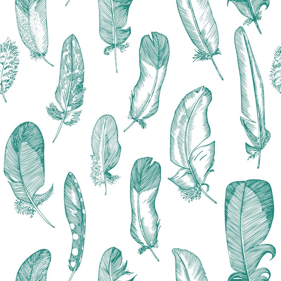 Seamless pattern Realistic sketch of bird Feather on isolated background. Detailed ink Line pen Clip Art, Black and White Boho Clipart. Hand Drawn engraving style plume. Vintage Vector