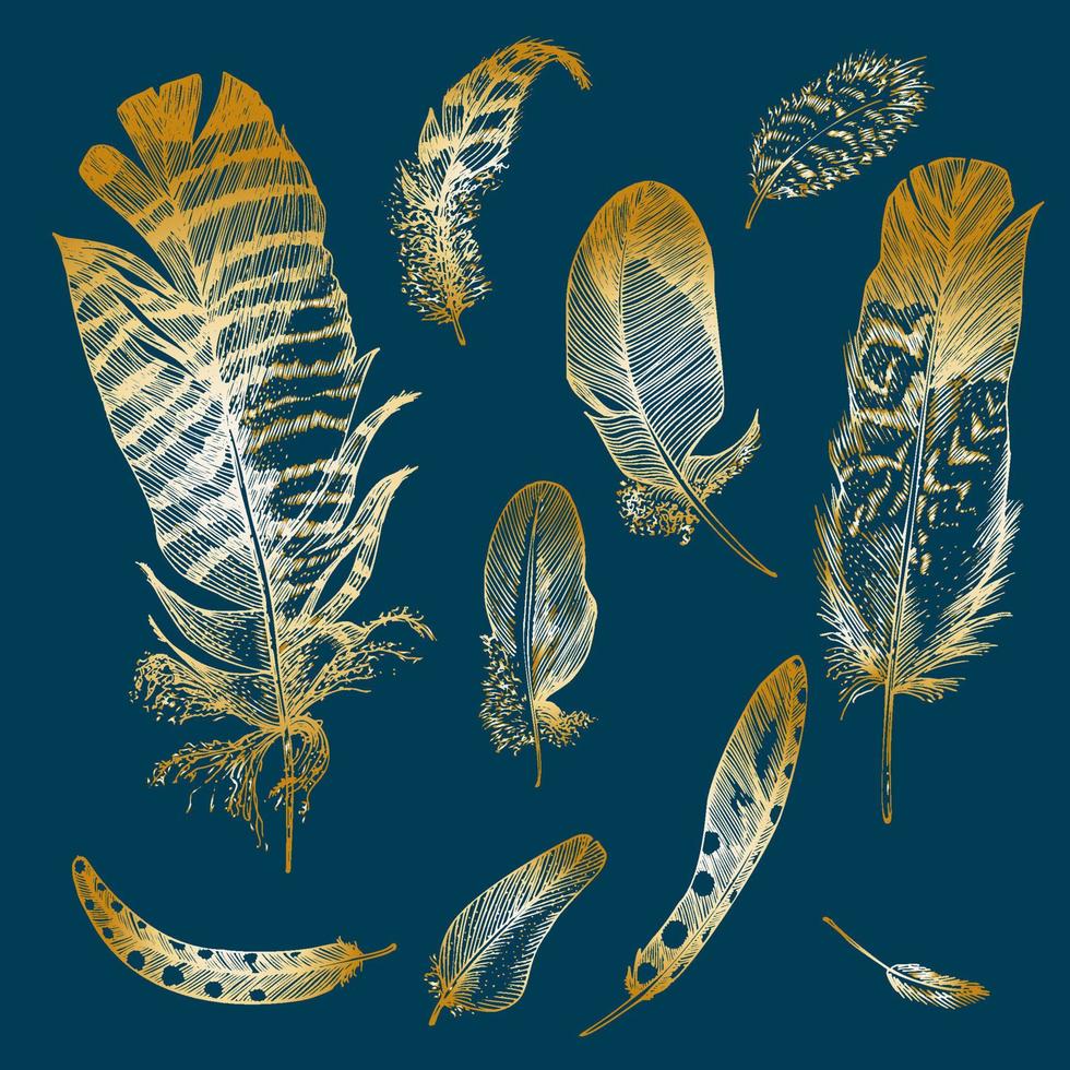 Set Realistic sketch of bird Feather on isolated background. Detailed ink Line pen Clip Art, Golden Plume Boho Clipart. Hand Drawn engraving style. Vintage Vector