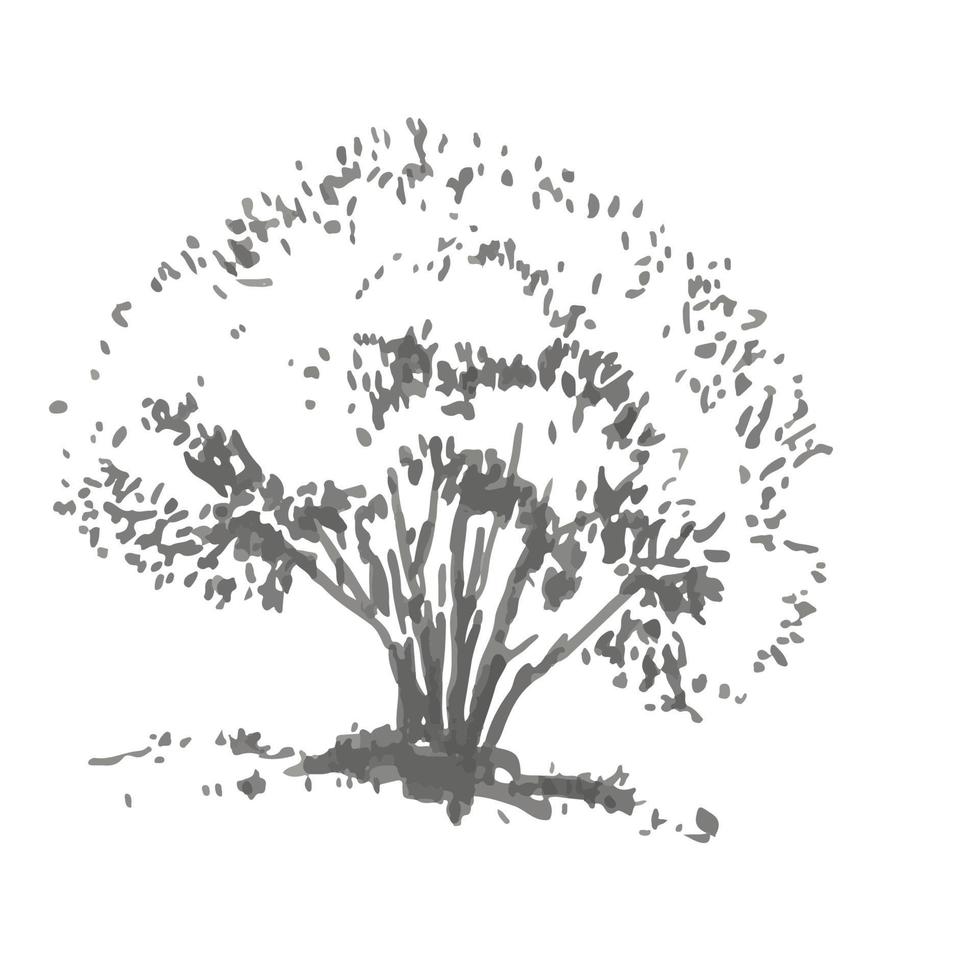 Hand-drawn bush. Rrealistic image in shades of gray, sketch painted with ink brush vector