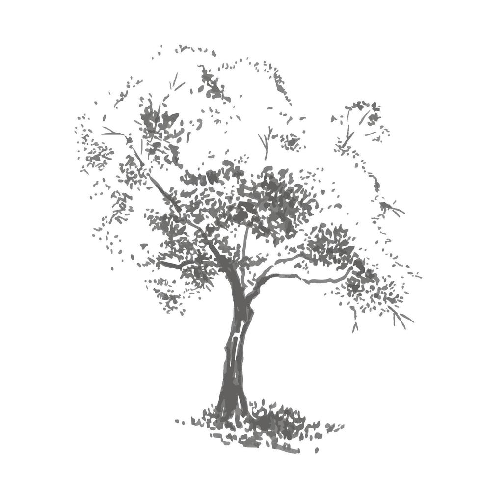 Hand-drawn aple tree. Realistic image in shades of gray, sketch painted with ink brush vector