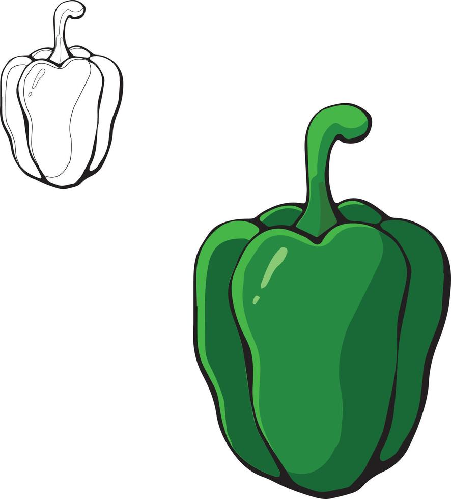 Capsicum vector coloring drawing