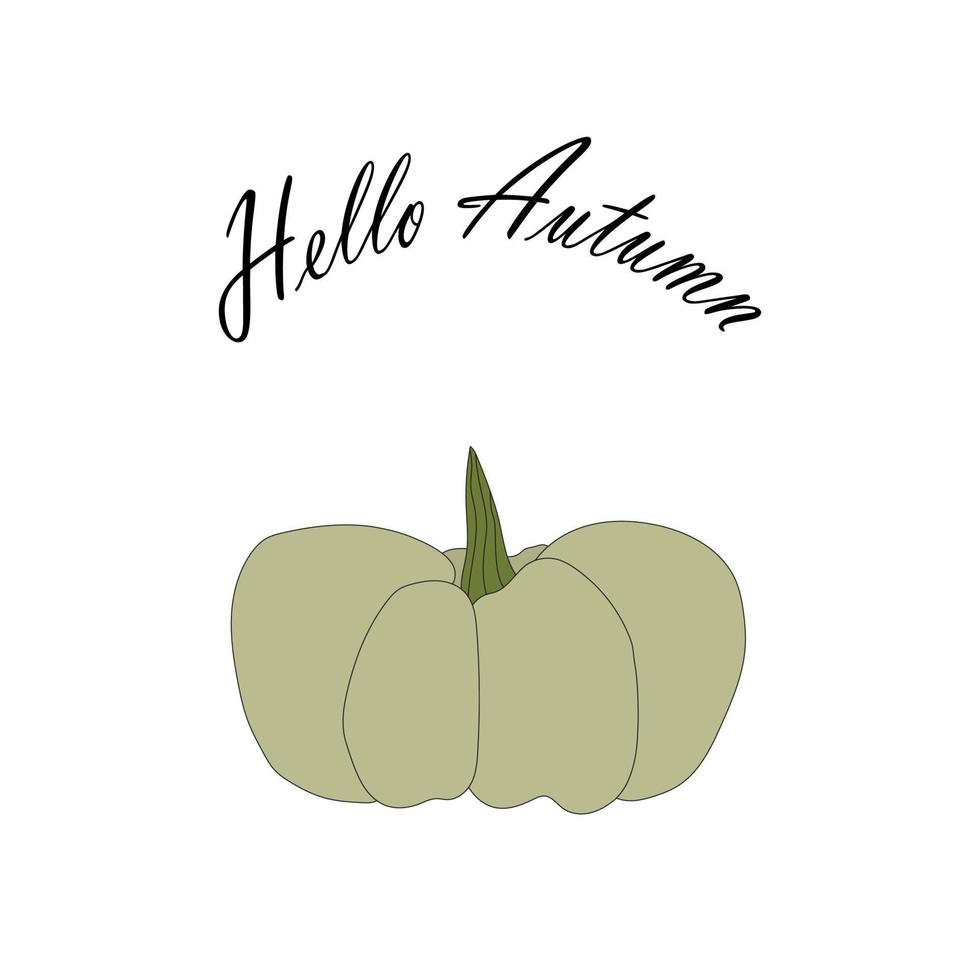 green pumpkin illustration, lettering hello autumn. autumn harvest illustration vector