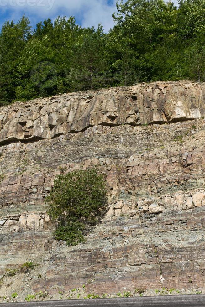 Forest and Rocks photo