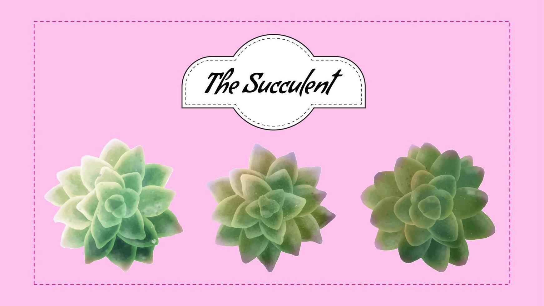 the Succulents elements vector