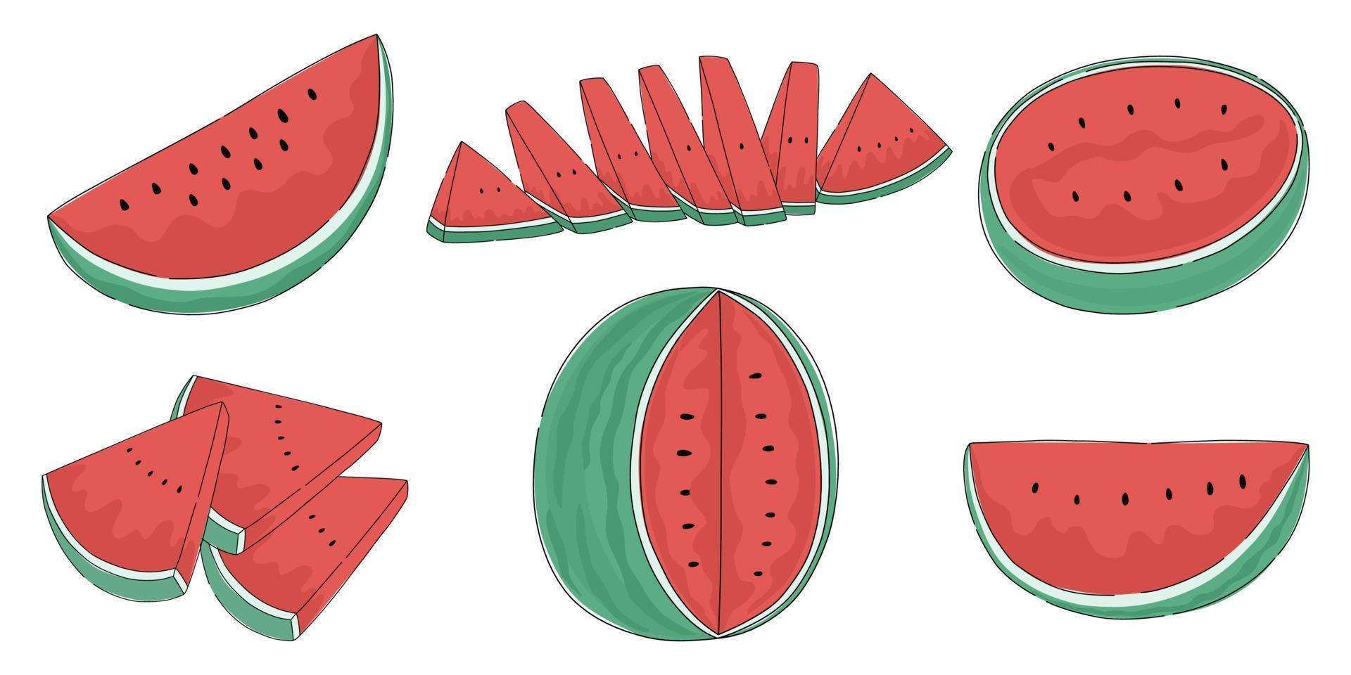 Watermelon vector set designed in doodle style on white background. for decoration, digital print, sticker, fruit illustration, fruit shop, card, art for kids and more