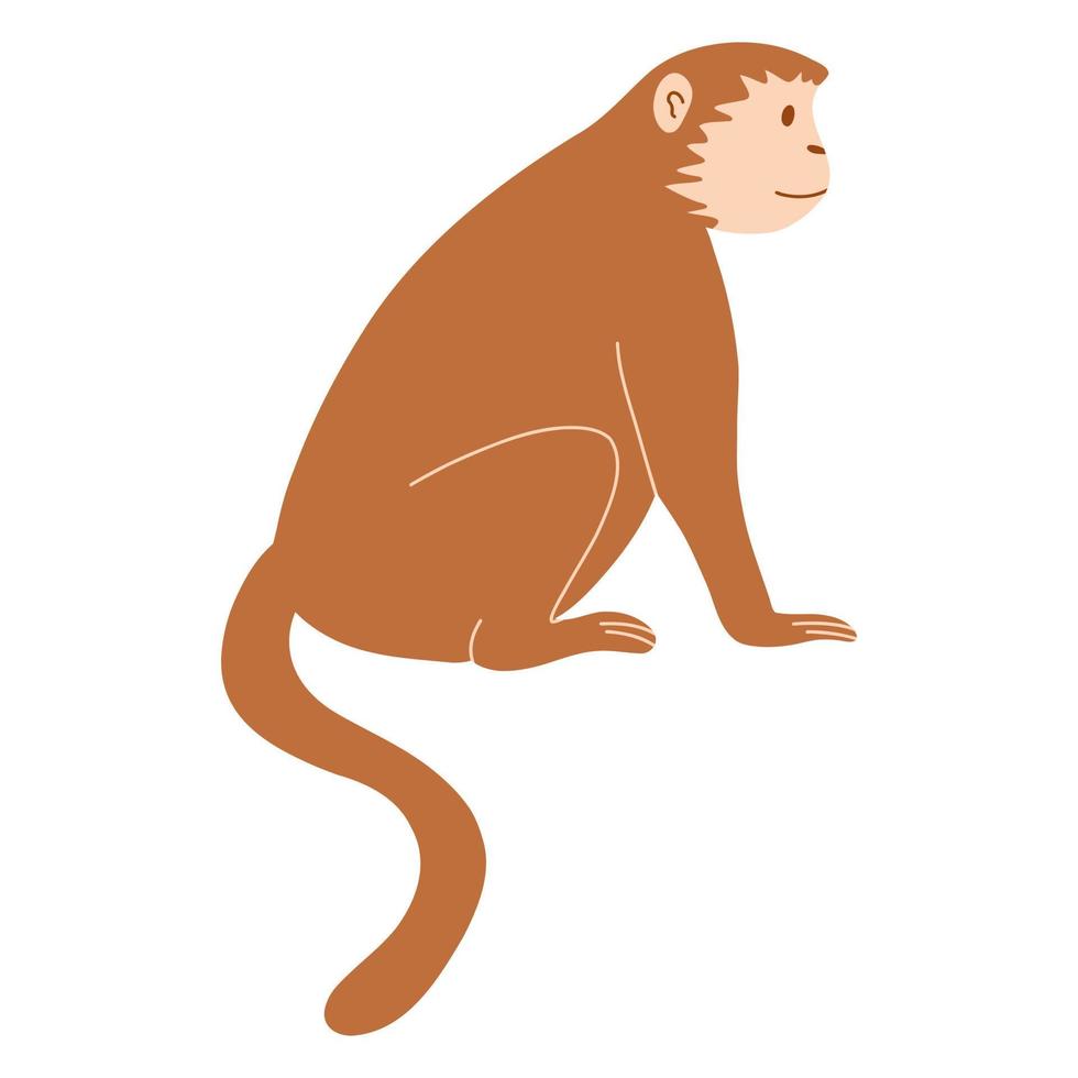 ilustración de vector de mono lindo en estilo plano de dibujos animados aislado sobre fondo blanco. adorable animal tropical o primate.