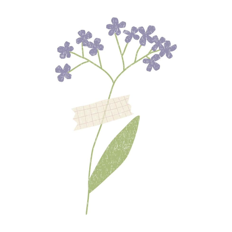 Hand drawn dried flower with washi tape . Vector element isolaten on white background