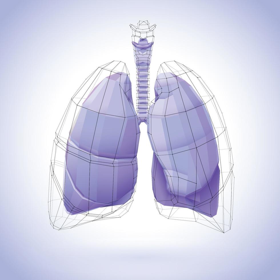 3D illustration of a human lung polygon covered with purple tones and a heart-shaped black net. vector