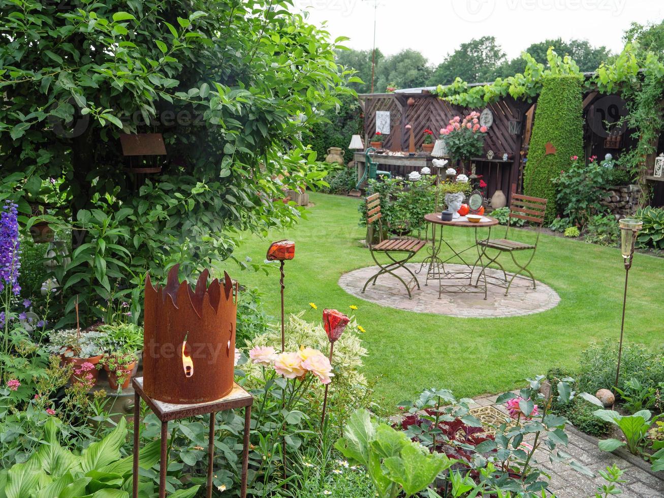 bleeding flowers in a german garden photo