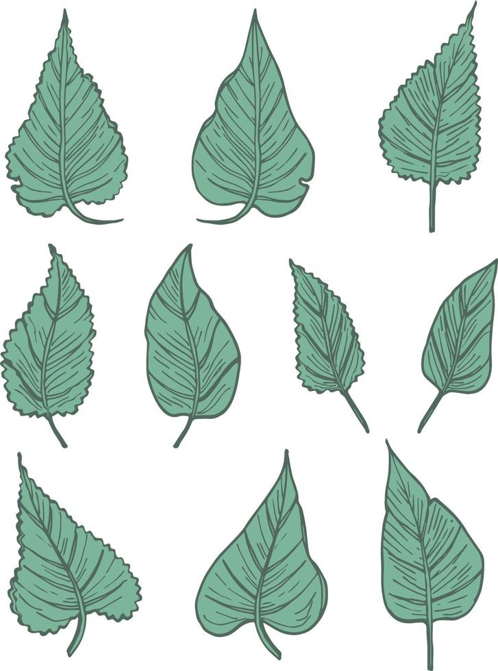 fallen autumn leaves vector set