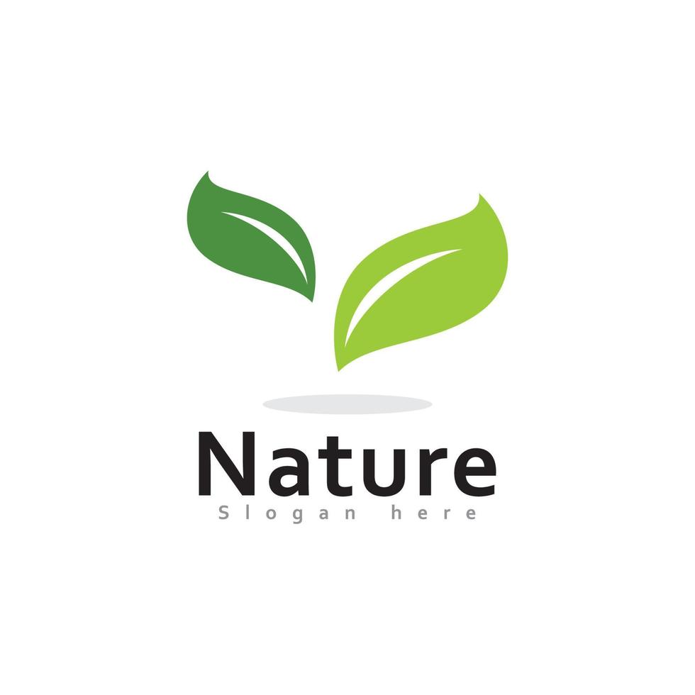 Green leaf nature element ecology vector design