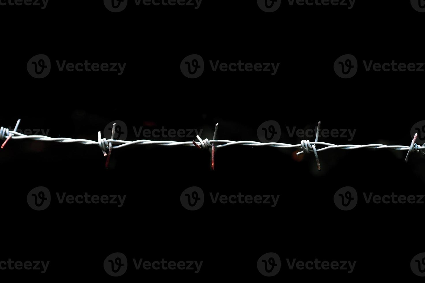 Close-up of a barbed wire fence in a restricted area. photo