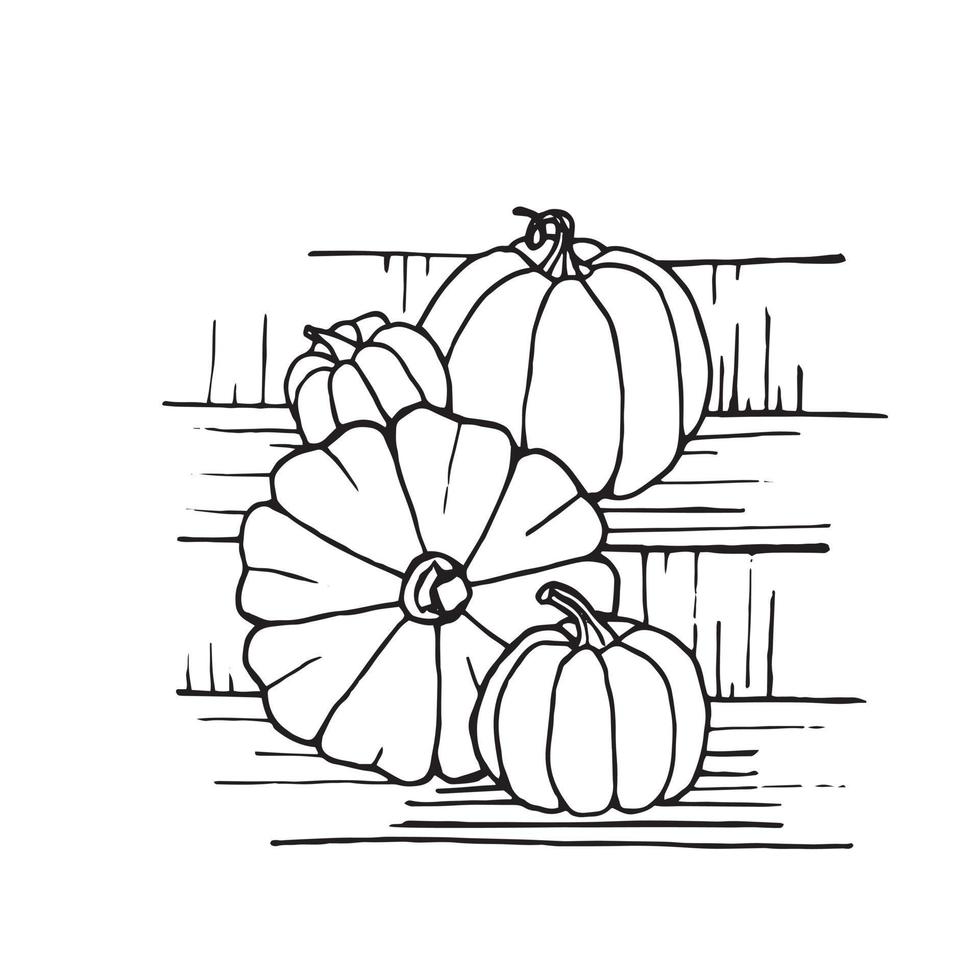 Hand drawn black and white pumpkins. Cartoon outline of vegetables in doodle style. Symbol of autumn harvest and Halloween. vector