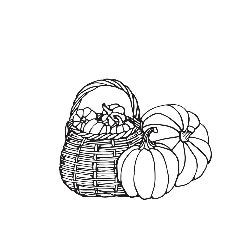 Hand drawn black and white pumpkins in basket. Cartoon  doodle outline of vegetables. Symbol of autumn harvest and Halloween. vector