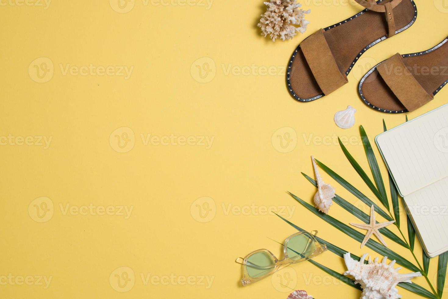 Leather sandals, tropical palm leaves, seashells, starfish on white background. Summer backdrop. photo