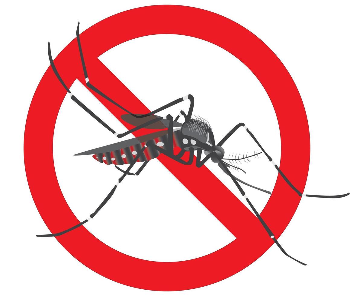 Anti mosquito symbol and illustration design for prohibition vector