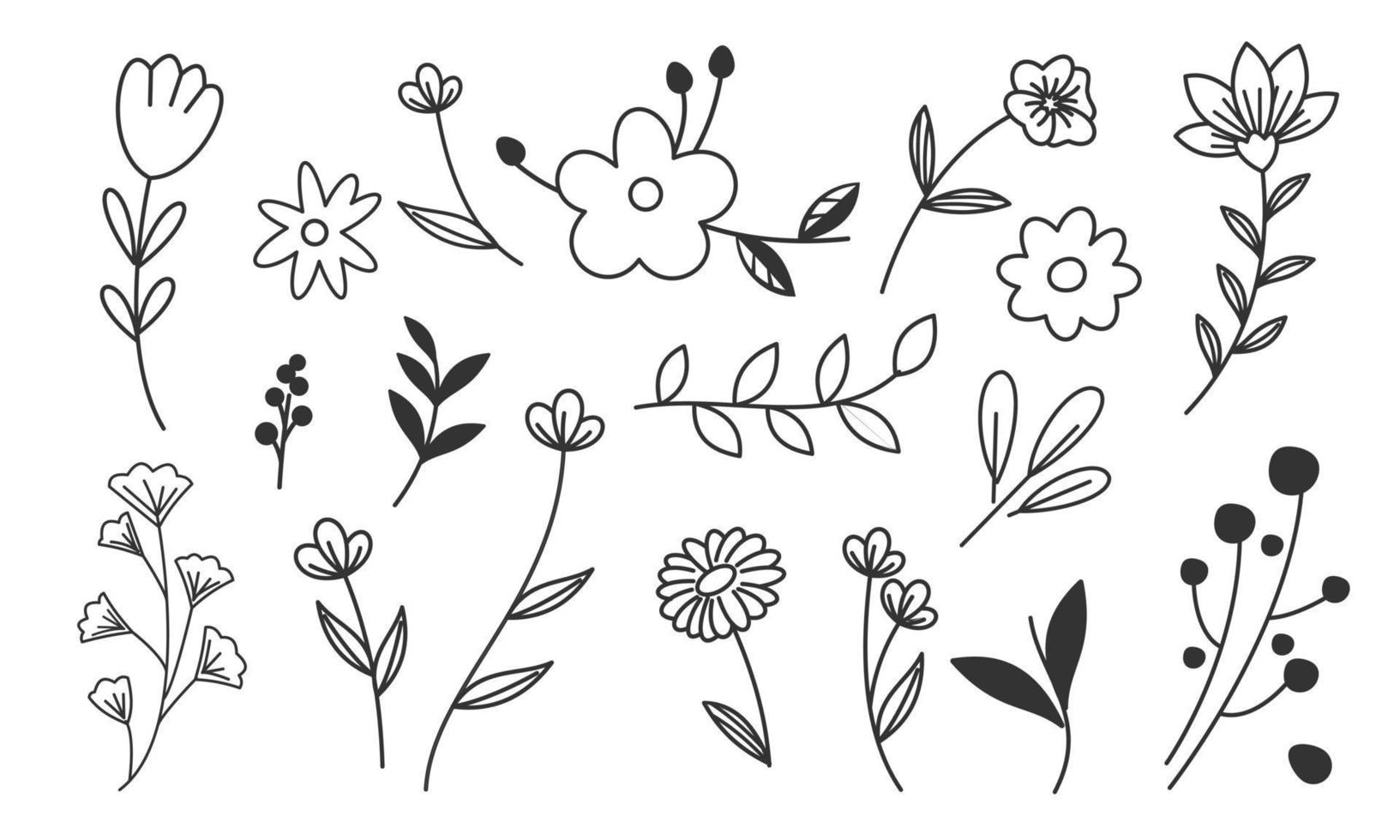 vector de doodle de flores y ramas dibujadas a mano