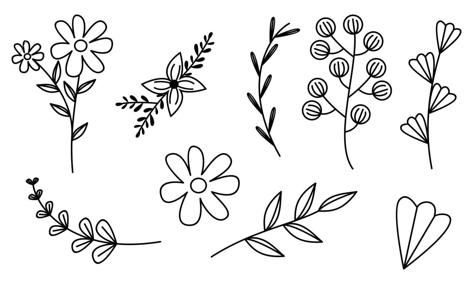 vector de doodle de flores y ramas dibujadas a mano