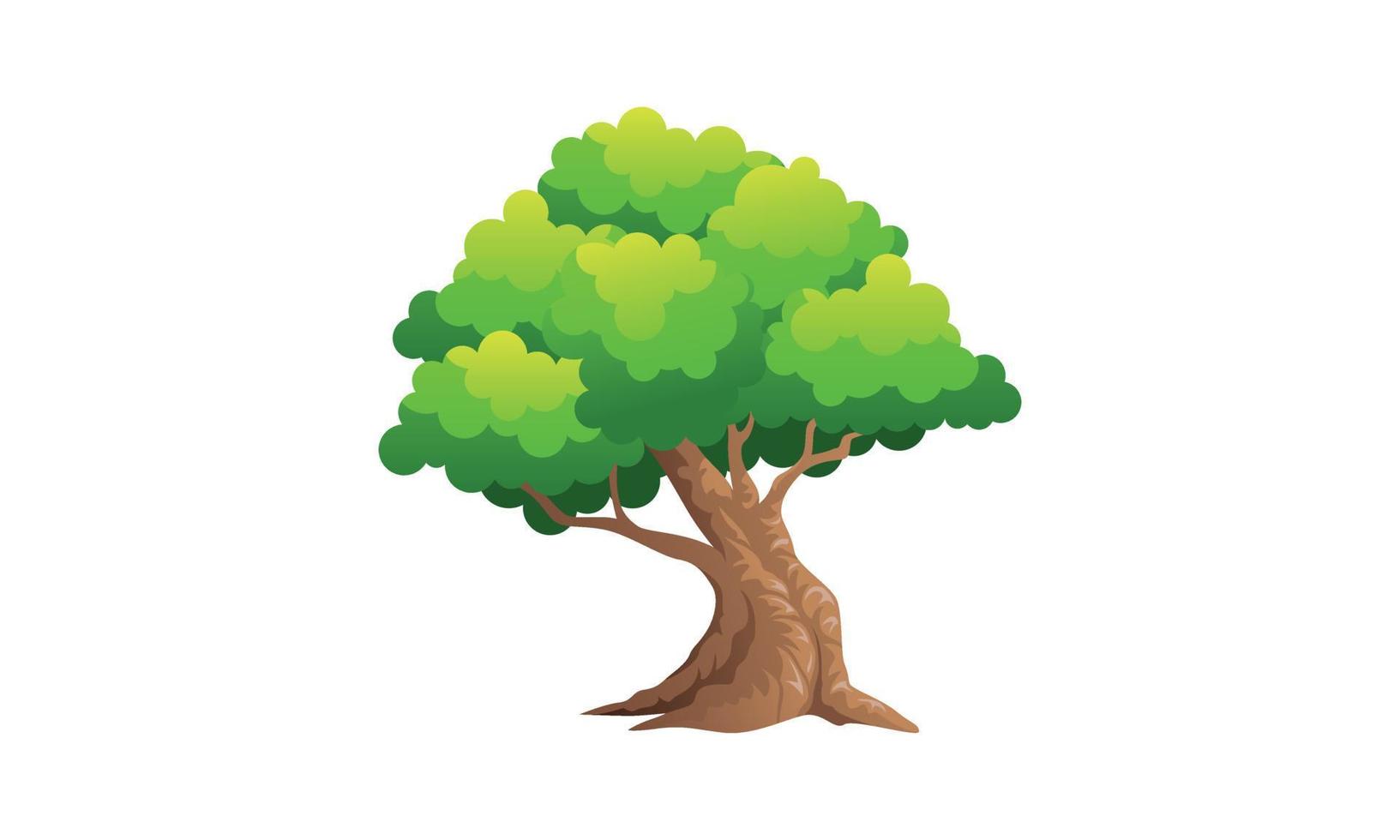 árbol verde caducifolio con raíces expuestas ilustración vectorial aislada vector