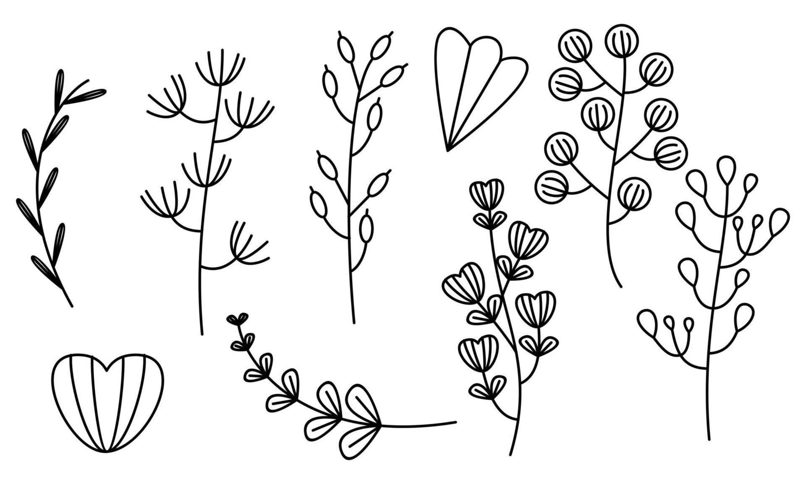 Hand drawn flower and branches doodle vector