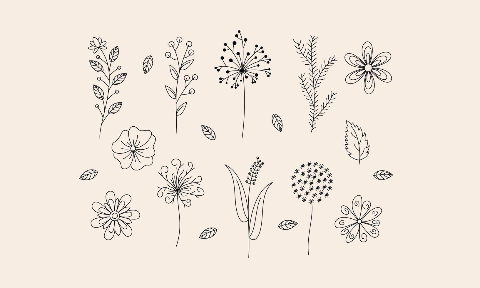 vector de doodle de flores y ramas dibujadas a mano