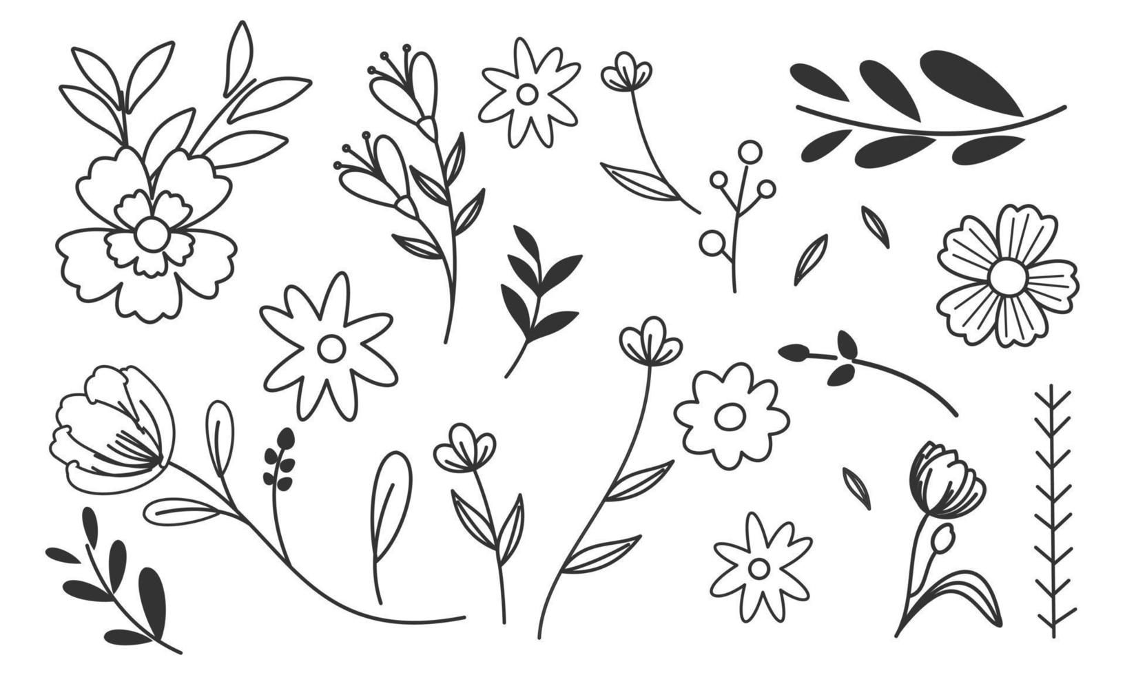 Hand drawn flower and branches doodle vector