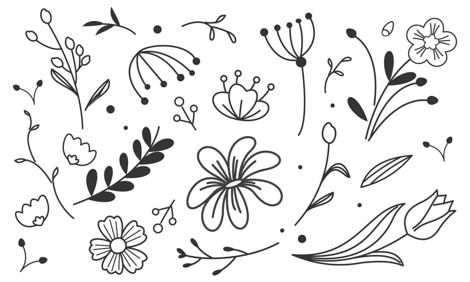 Hand drawn flower and branches doodle vector